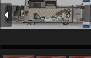 Zwisle's Galloping Palomino