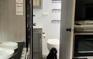 2024 Keystone RV Coleman Light 1805RB