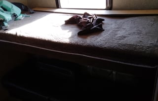 2018 Forest River RV Vibe 308BHS