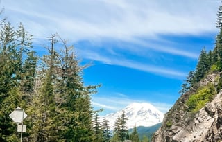 Adventure With Frizz!