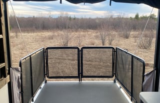 Shilhon Acres Wolf Pup