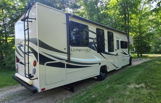 2015 Coachmen RV Leprechaun 317SA Ford 450