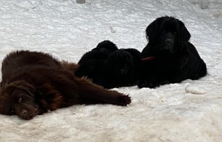 2015 Jayco Jay Feather Ultra Lite X23F Hybrid