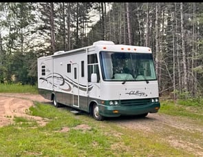 Damon Challenger 377