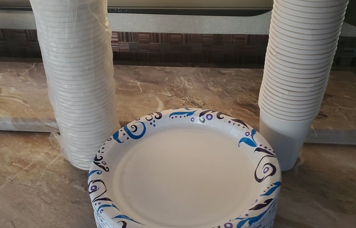Plates and cups included