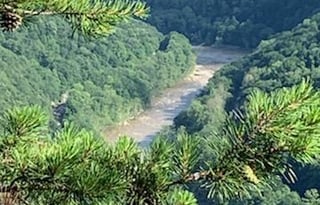 Fully Stocked with all the amenities!