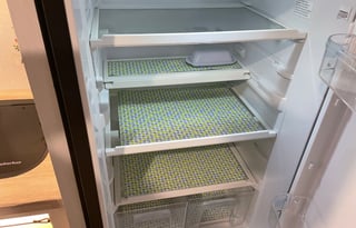 2023 Forest River RV No Boundaries NB19.8