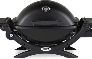 Pet friendly - 2023 Coleman 17B