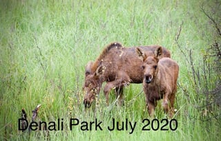 Alaskan Prospector 31J Winnebago.