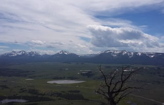 4WD All-Season "Judy" UNLIMITED MILES + Starlink