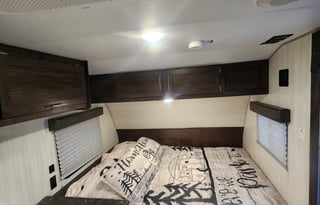 Breaking Dawn Wolf Pup