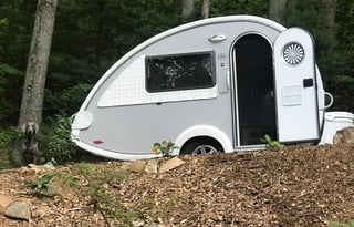 Beaux the Little Guy T@B 2012