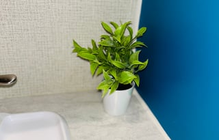 Stacy's home away from home