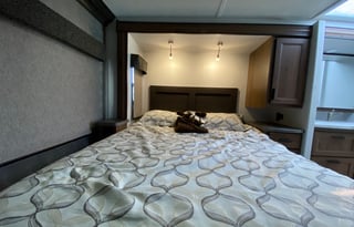 2021 Deluxe Sunseeker (Easy to Drive)