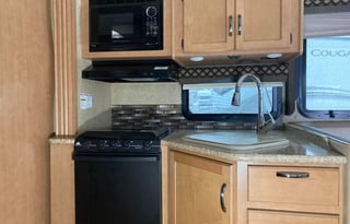 2016 Thor Motor Coach ACE 29.4