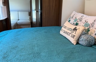 Luxury Mercedes Sprinter RV • Solar + Lithium