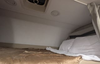 Travel Bear is ready to make new memories.