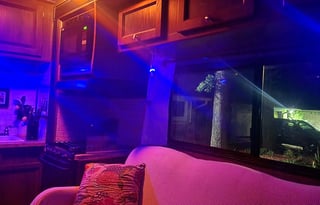 George and Harriett 's  Happy Leprechaun