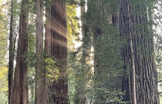 Affordable Camping 2025 Jayco sleeps 5-6