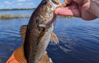Disney and Beach Ready! 33' Jayco-Bunkhouse Slps 8