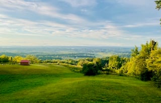 Stay in Style: Luxury Motor Coach on 80 acres!