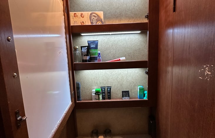 Bathroom shelves