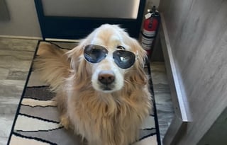 2023 Grand Design Imagine XLS 21BHE  Newer/Upscale