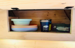 Ramona the ProMaster