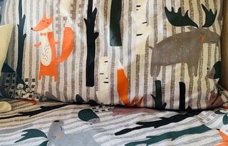 2017 Forest River RV Salem Cruise Lite 191RDXL