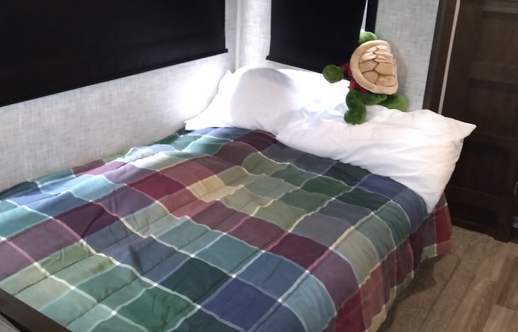 Jack knife couch as bed. Obviously, Shelly is more interested in what is going on outside...