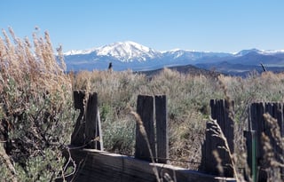 4WD All-Season "Judy" UNLIMITED MILES + Starlink