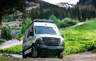 Ele the Elephant, Pet Friendly RV