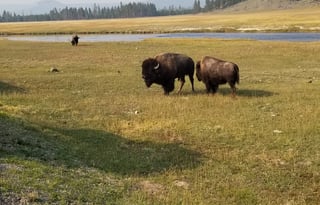 T and A Happy Clampers