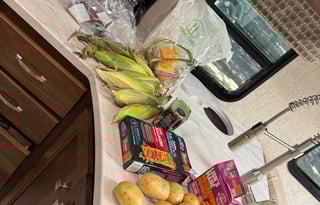 "Rebecca" - The Perfect Sun Seeker!