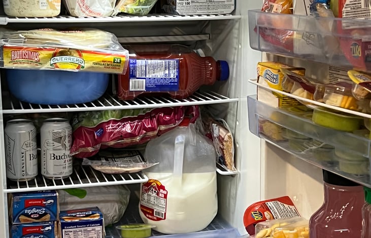 Larger 11 cubic fridge. Can fit a whole gallon milk.