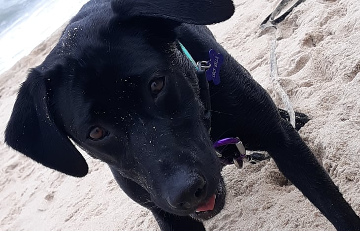 Belle and I invite you to Relax, breath in the Ocean and make lasting memories in our cozy space.