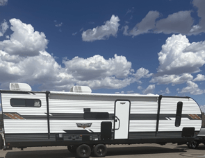 Forest River RV Wildwood 29VBUD