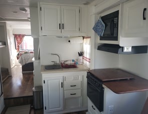 Forest River RV Sunseeker 3170DS Ford