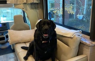 Go Yonder! 2022 Thor Motor Coach Magnitude GA 31