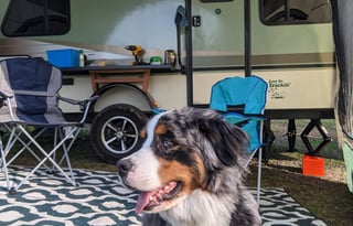 The Little Bean - Forest River R-Pod 177