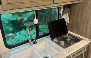 Kid Approved, Pet Friendly, 2021 Apex Nano RV