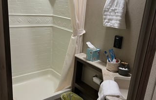 Family Friendly Palomino Puma