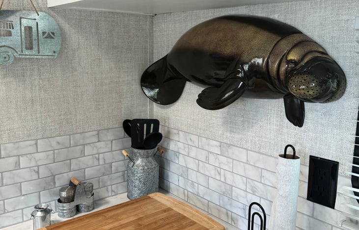 Because manatee’s are awesome…