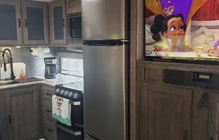 2021 Forest River RV Vibe 33BH