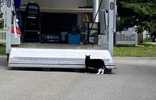 2021 Stealth 8.5x28 Race Car Hauler with room to sleep.