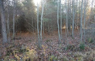 2005 Keystone RV Cougar 301BHS