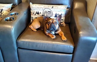 2019 Jayco Precept - Rocky Mountain Retreat!