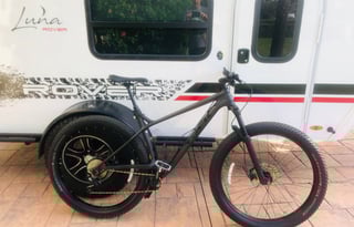 ROVER RV -  “Look at me! Rent me!”