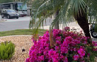 Luxury StationaryRV Retreat-Site included