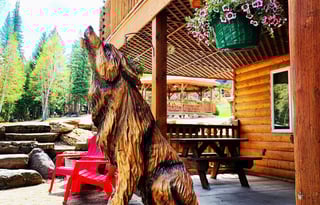 Stationary Cute Camper & FHU Space near Glacier NP